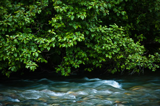 Flowing and Growing