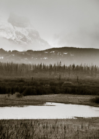 Lazy Mist