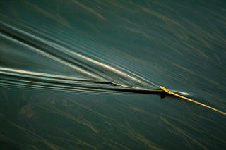 Written In Water