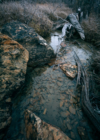 Rock Shards and Driftwood Forms