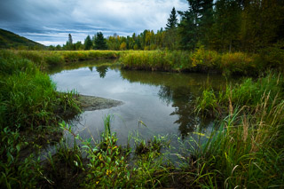 Battle River Floodplains