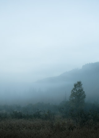 Misty Fall Morning