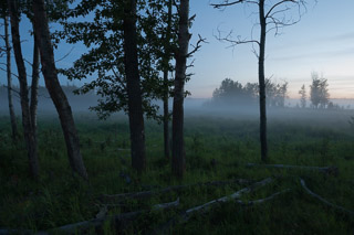 Evening Mist