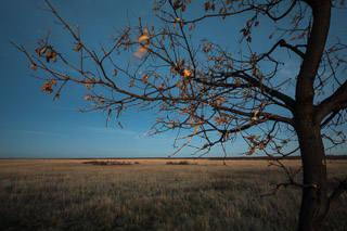 Prairie Afterglow