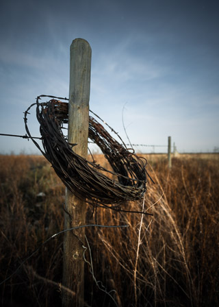 Extra Barbed Wire