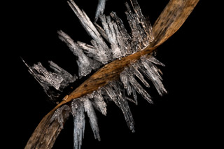 Frost Formations Melting Off Grass