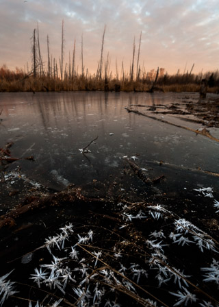 Ice Formations on Evening Pond