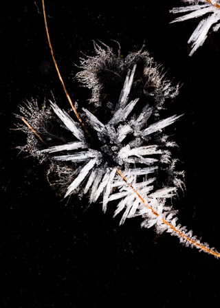 Icy Heart