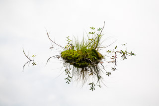 Suspended Islet