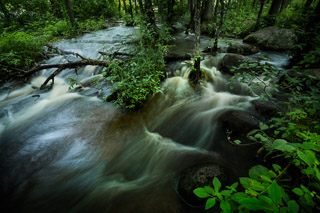 Pine Point Overflow