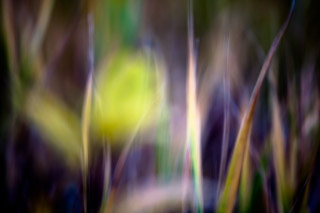Fall Abstraction