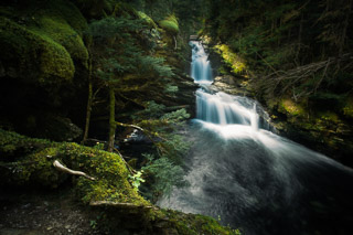 Mossy Dragon's Pool 