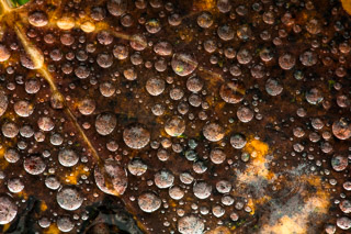 Beading