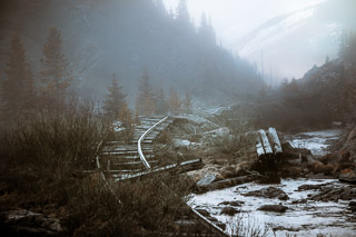 Tracks through the Mist
