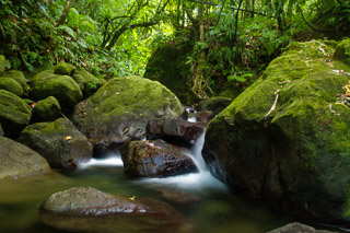 Cascade on the Old Road