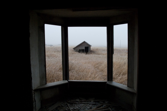 Through a Window