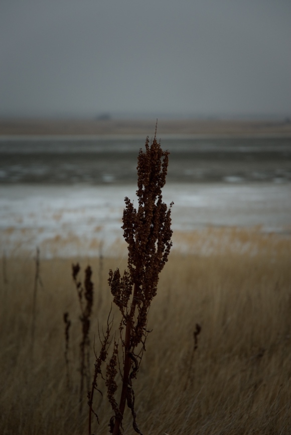 Dry Lake