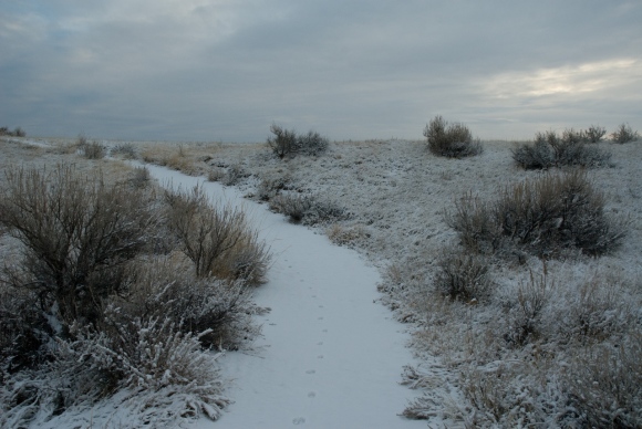 Dinosaur Provincial Park
