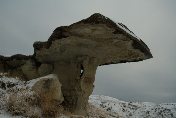 Dinosaur Provincial Park