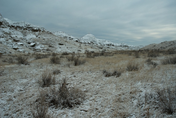 Dinosaur Provincial Park