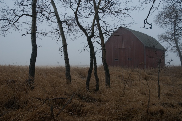 Barn Through the Fog