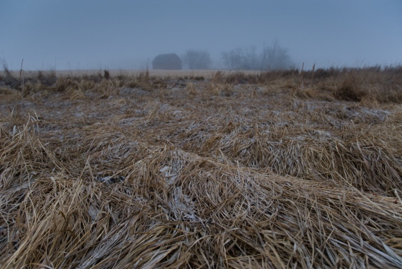 Old Barn