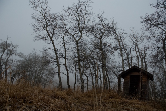 Dark Outhouse