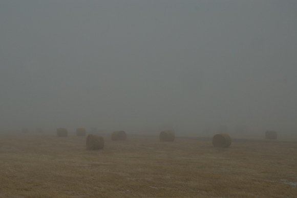 Bales in Fog
