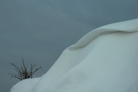 Dinosaur Provincial Park
