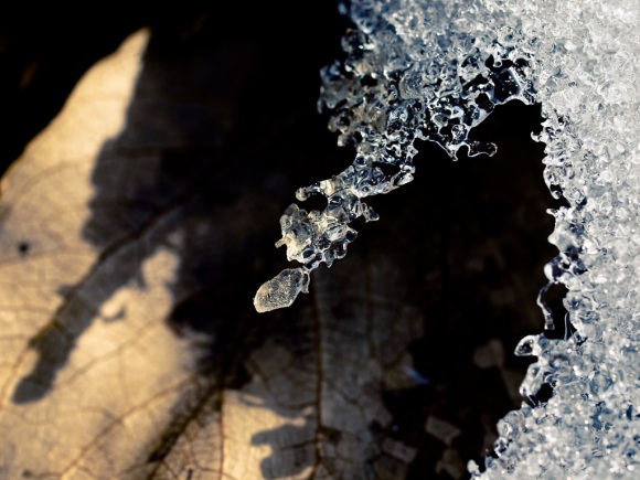 Spring Ice 6