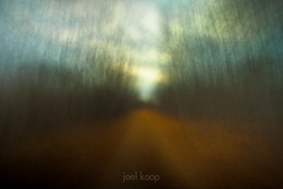 abstract-fall-path-through-woods