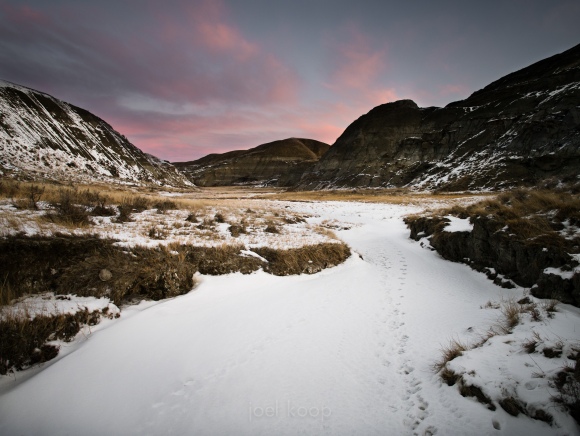 dinosaur-provincial-park-10
