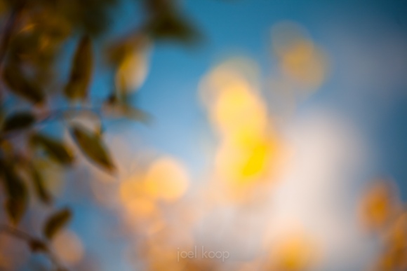 fall-abstract