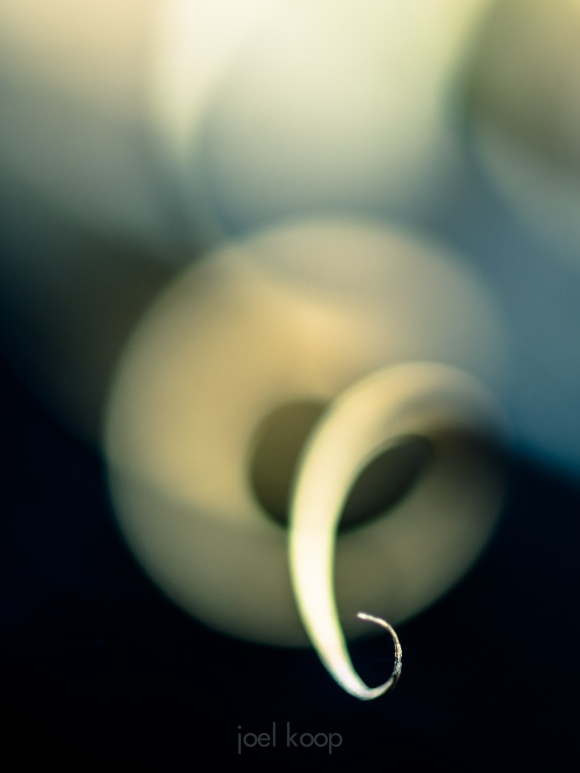 grass-curl-2