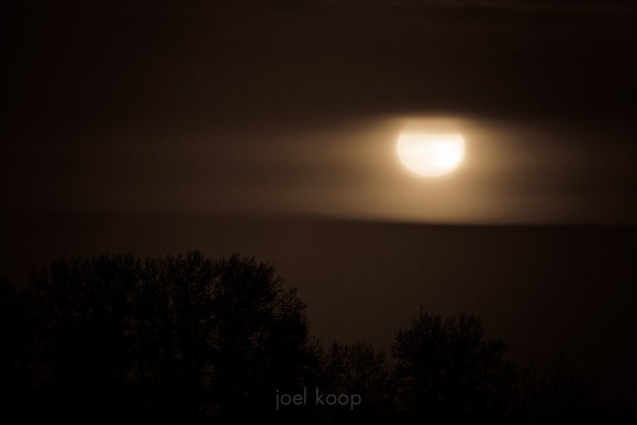 mg_0363-edit
