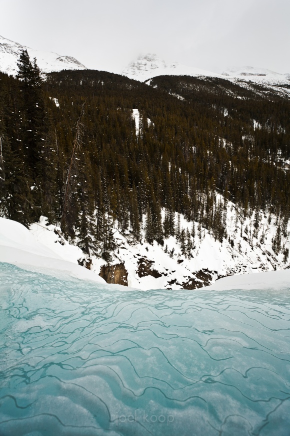 mg_1081