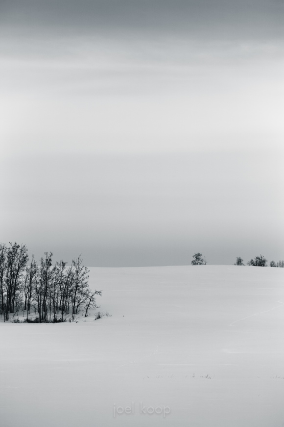 mg_1095