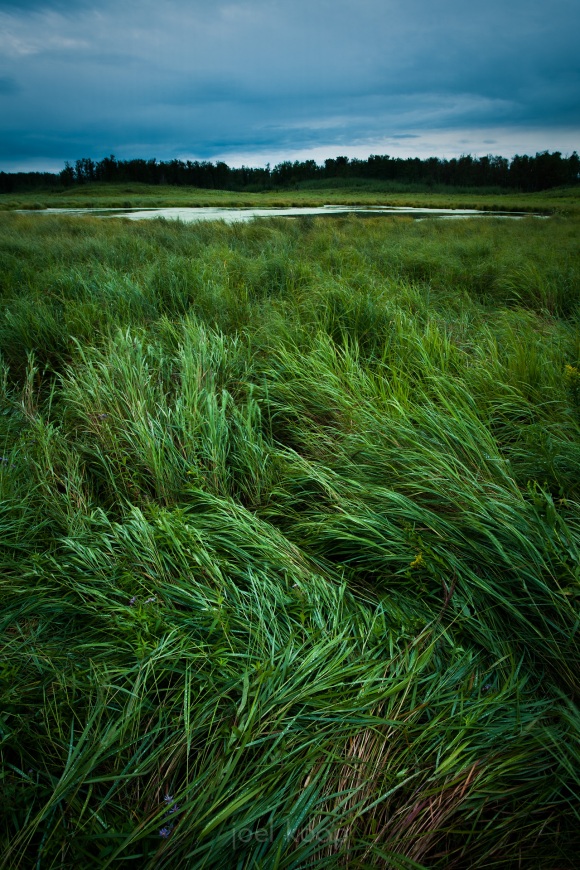 mg_1811