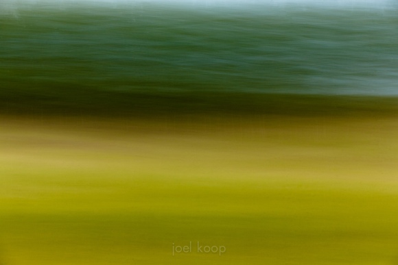 Blurred Fall Scene