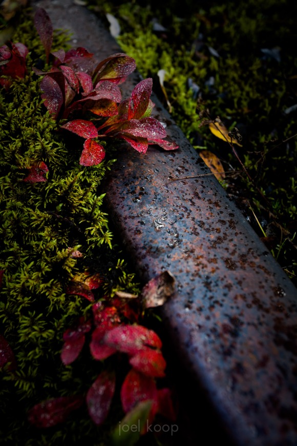 mg_3436