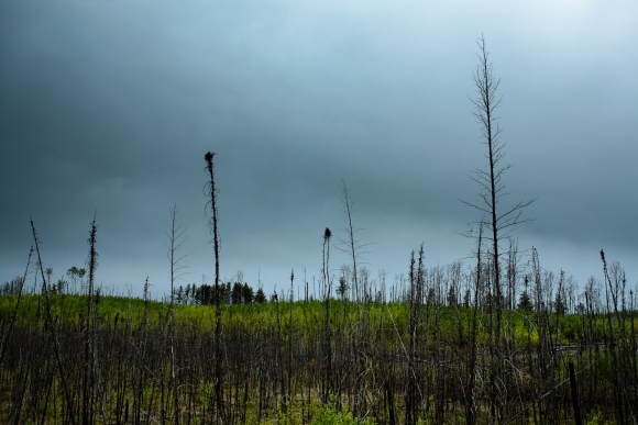 Dark Clouds Over Bellis Natural Area
