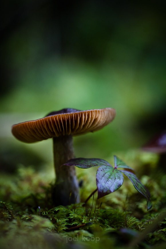 mg_5856
