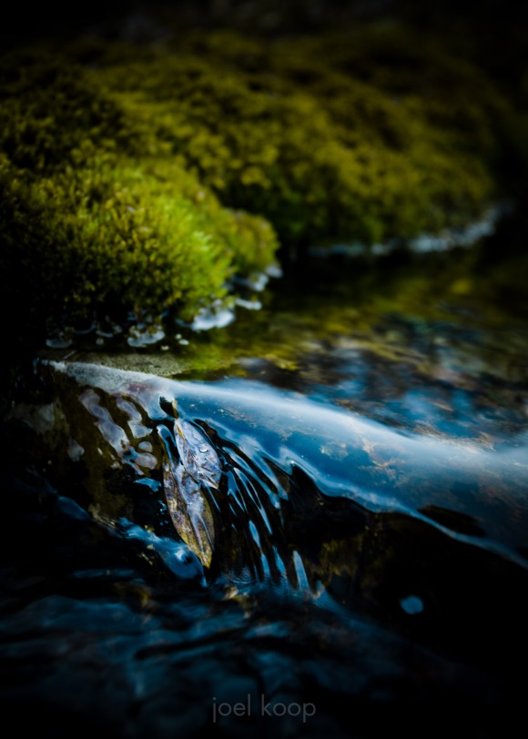 mg_6387