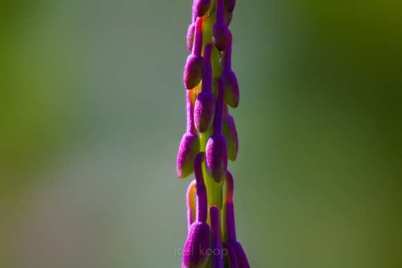mg_7896-edit