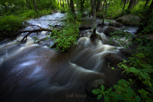 River Running Through Flooded Forest