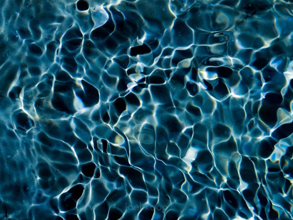 p7016327