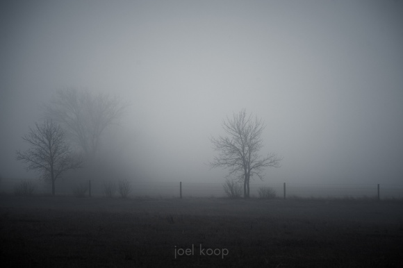 prairie-fence-line-in-fog