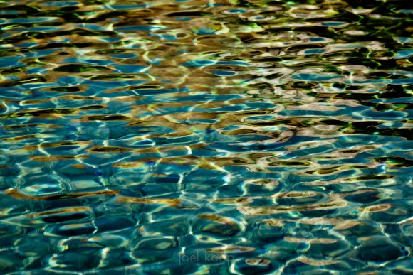 ripple-refractions-in-mt-lorette-ponds