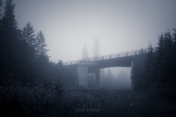 sleeping-fog-railway-tracks