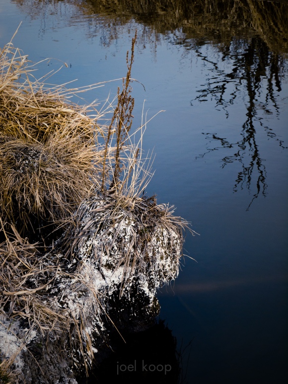 small-creek-edge-and-reflections
